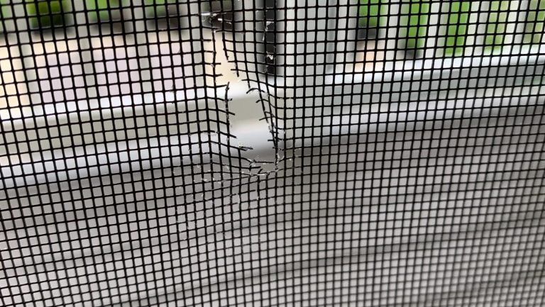 Screen Door Repair in Apopka